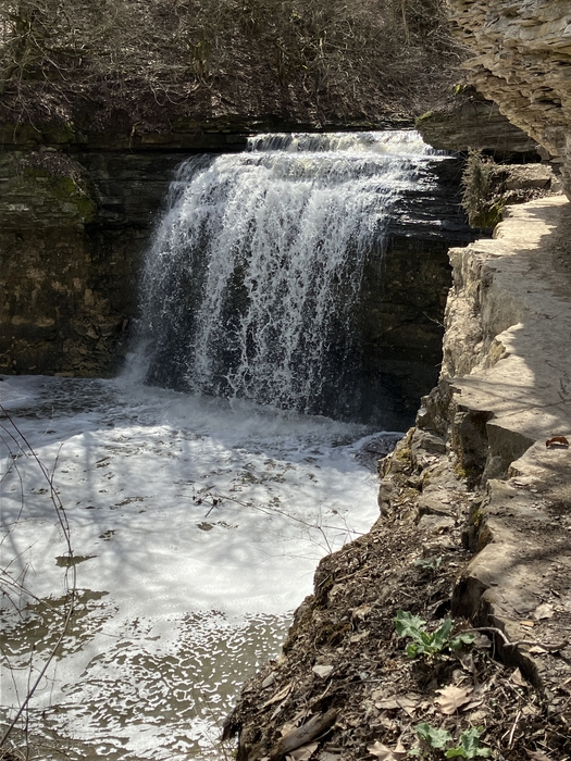 Quarry Trails Metro Park