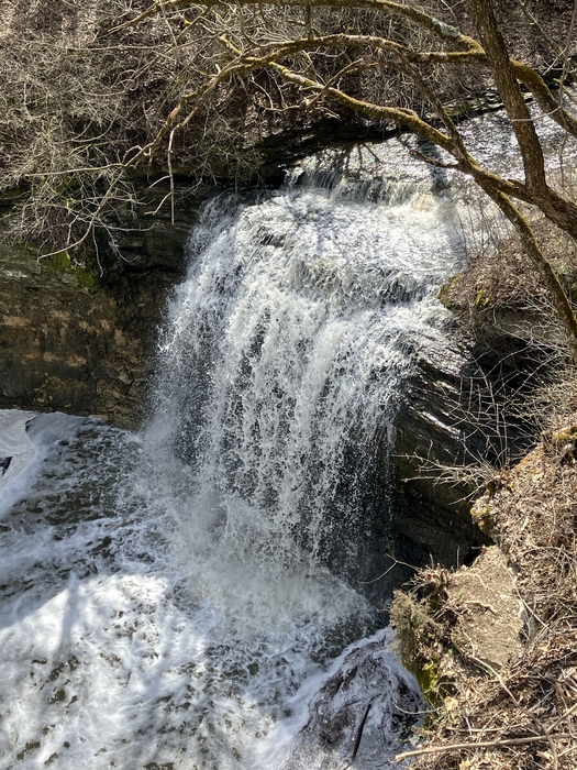 Quarry Trails Metro Park