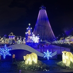 Winterfest
