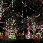 Winterfest