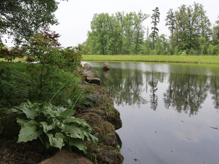 Dawes Arboretum