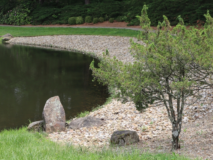 Dawes Arboretum