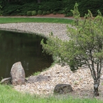 Dawes Arboretum