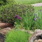 Dawes Arboretum