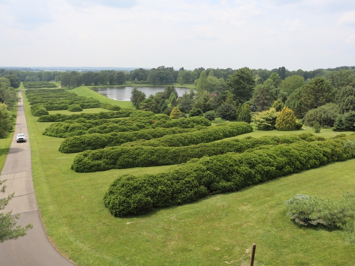 Dawes Arboretum
