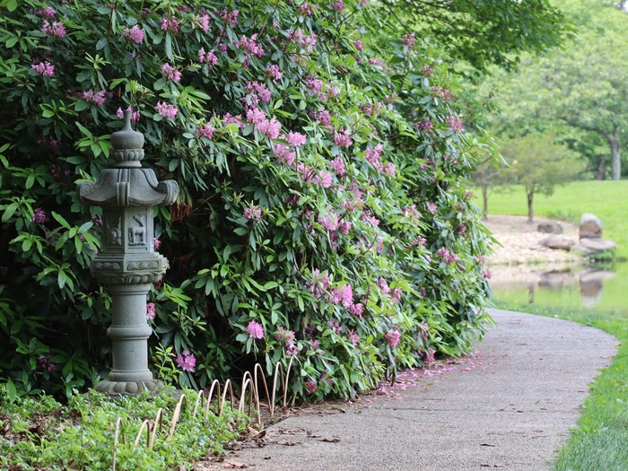 Dawes Arboretum
