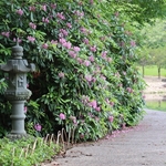 Dawes Arboretum