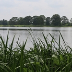 Dawes Arboretum