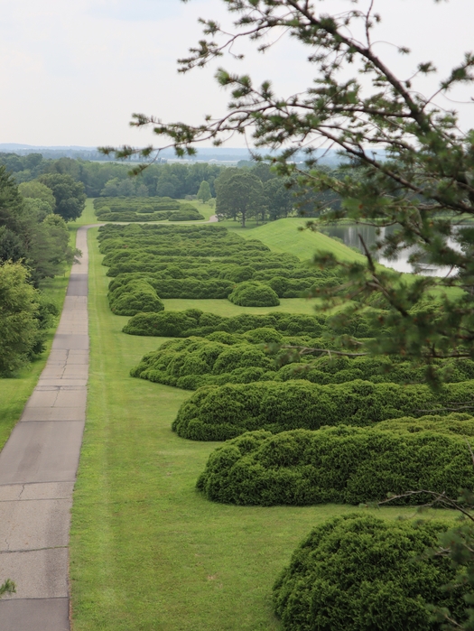 Dawes Arboretum