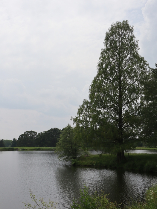 Dawes Arboretum