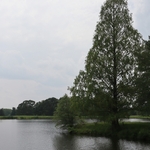 Dawes Arboretum