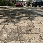 Rosyln Place