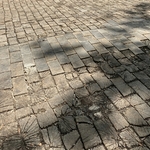 Rosyln Place