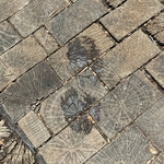 My Footprint