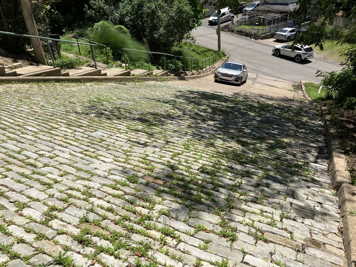 Canton Avenue