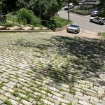 Canton Avenue