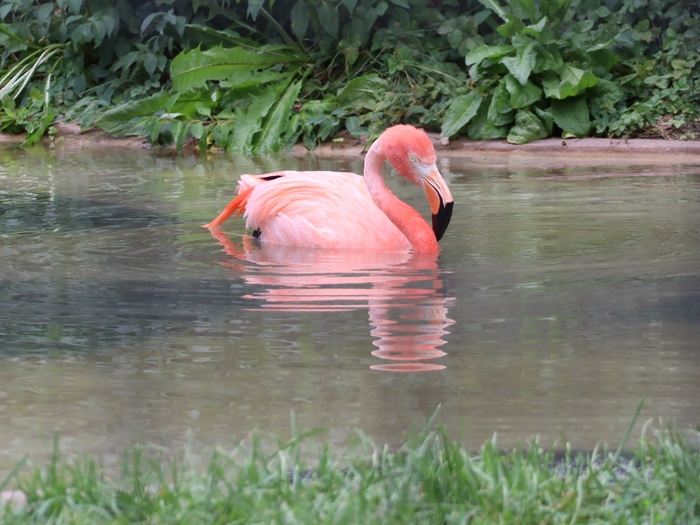 Columbus Zoo