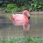 Columbus Zoo