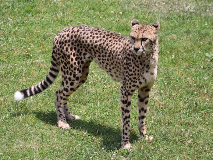 Columbus Zoo
