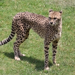 Columbus Zoo