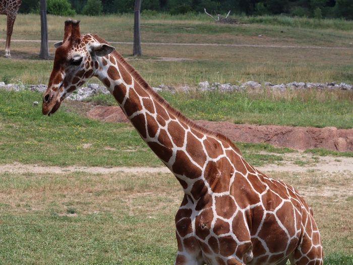 Columbus Zoo