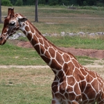Columbus Zoo