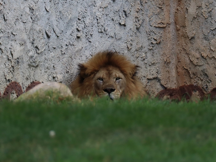 Columbus Zoo