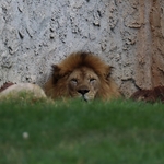 Columbus Zoo