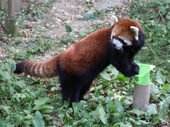 Columbus Zoo