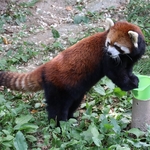 Columbus Zoo