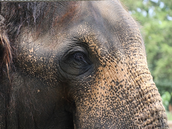 Columbus Zoo