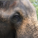 Columbus Zoo