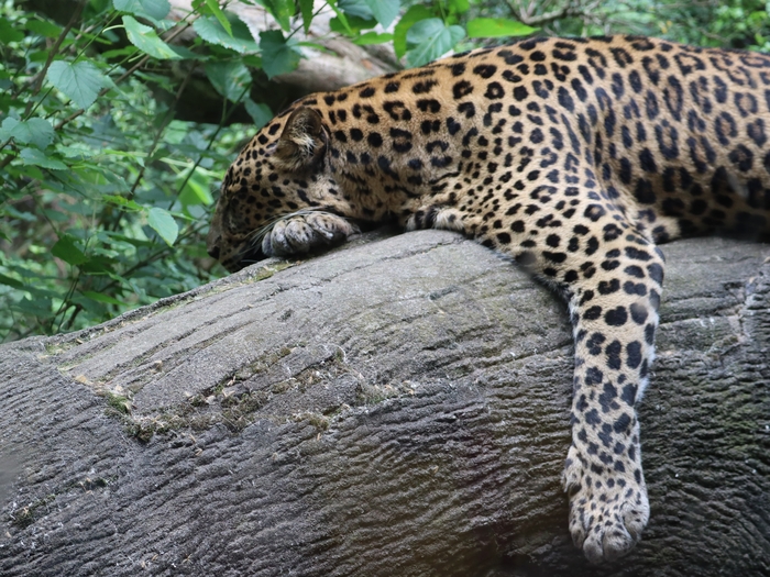 Columbus Zoo