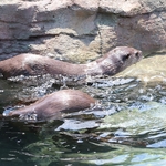 Columbus Zoo