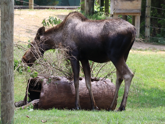 Columbus Zoo