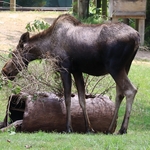 Columbus Zoo