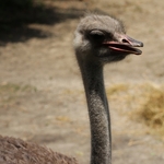 Columbus Zoo