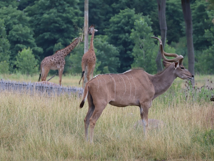 Columbus Zoo
