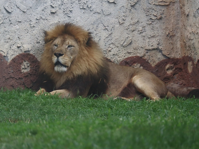 Columbus Zoo