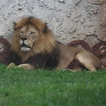 Columbus Zoo