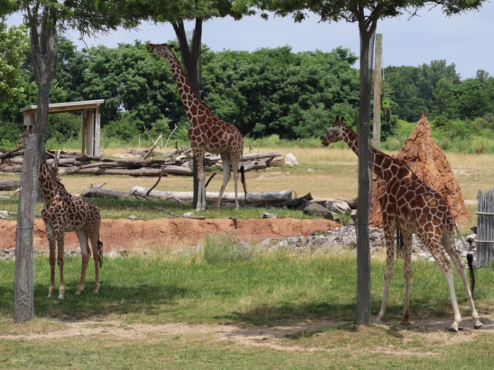 Columbus Zoo