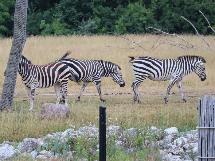 Columbus Zoo