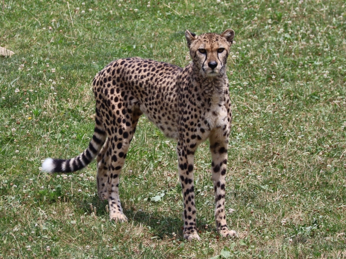Columbus Zoo