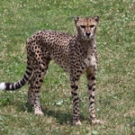 Columbus Zoo
