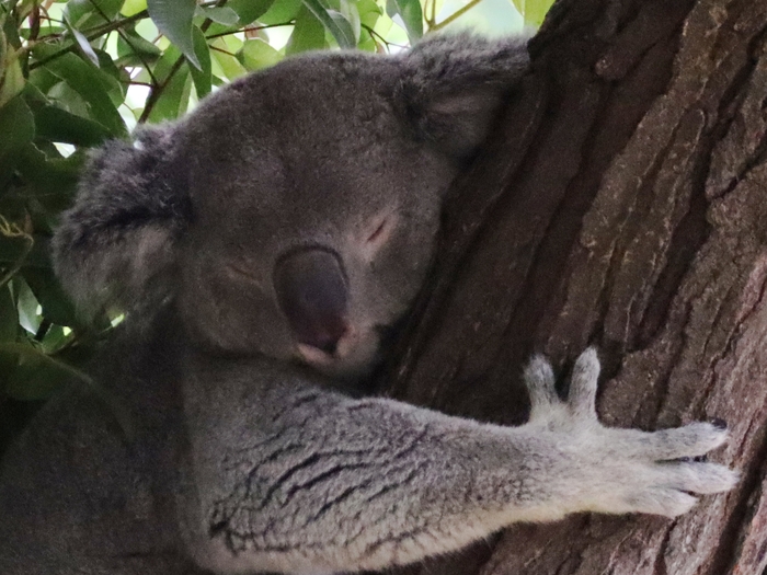 Columbus Zoo