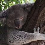 Columbus Zoo