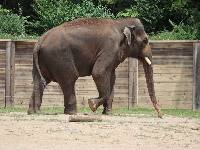 Columbus Zoo
