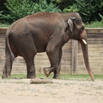Columbus Zoo