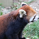 Columbus Zoo