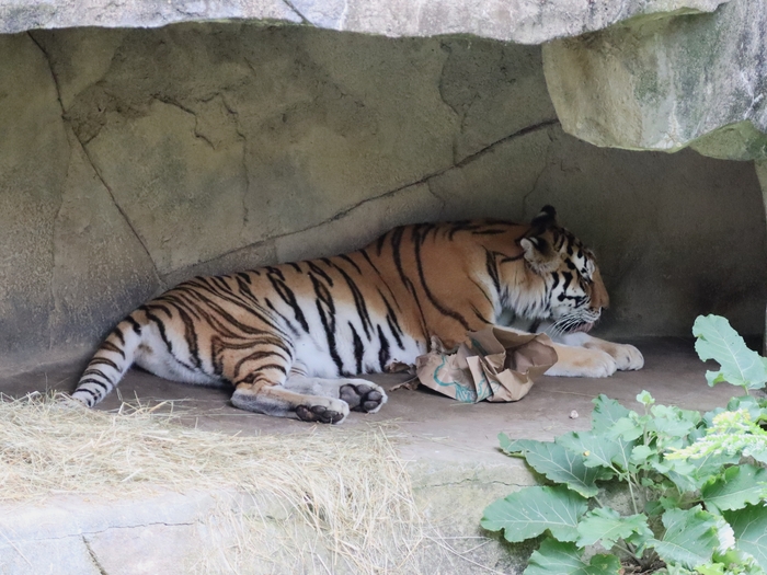 Columbus Zoo